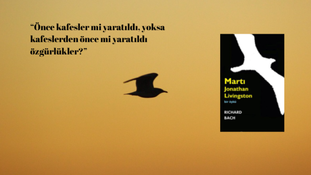 Martı Jonathan Livingston-Richard Bach